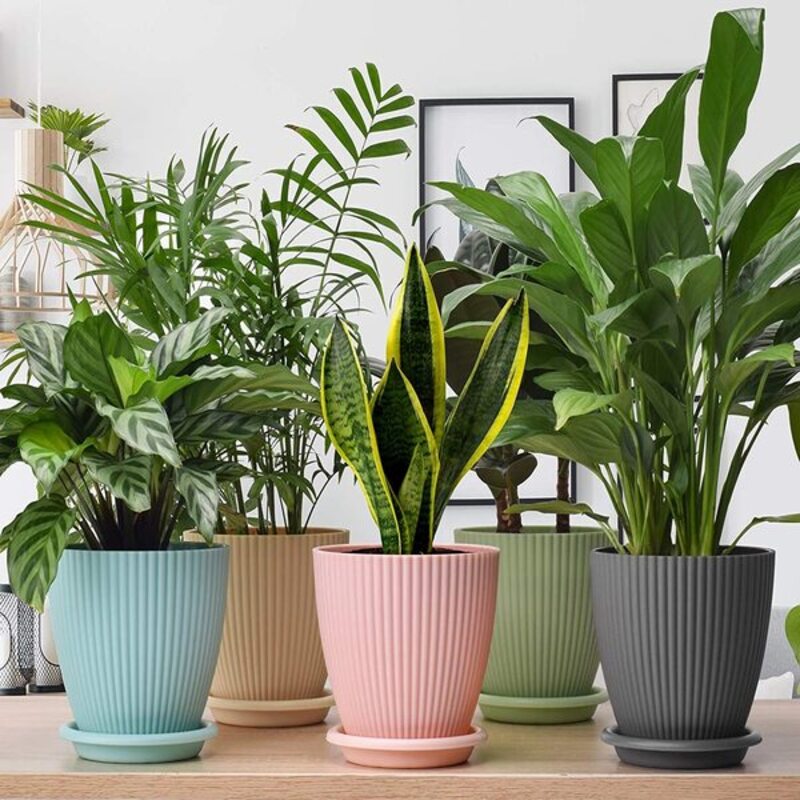Plastic Garden Flower Pots with Tray – Set of 6 Multicolor Round Planters for Indoor & Outdoor Plants