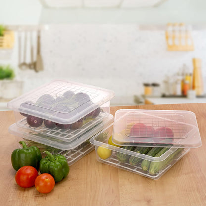 Plastic Fridge Storage Container – 2500 ml Airtight BPA-Free Freezer-Safe Kitchen Organizer Box